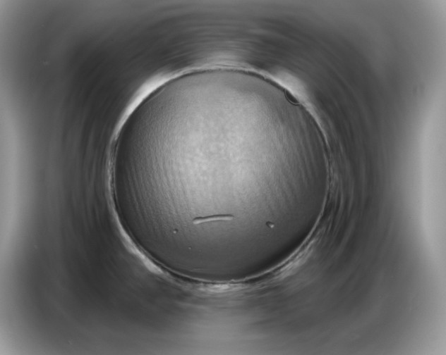 X0000086751390200704271701