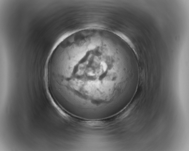 X0000086751391200704271701