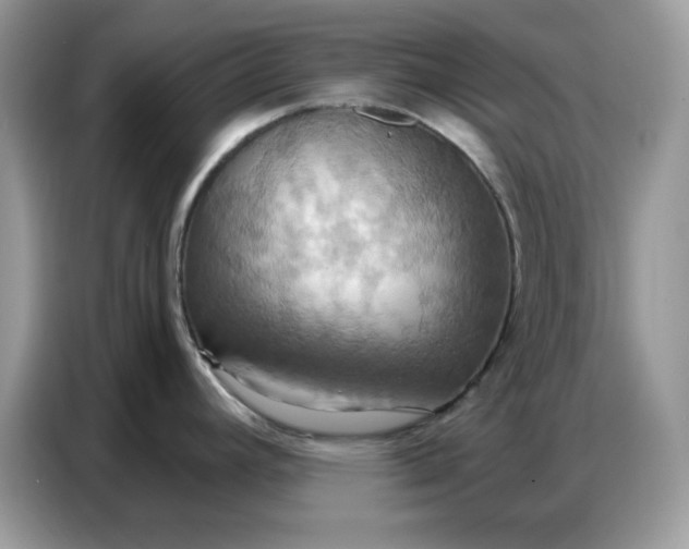 X0000086751392200704271701