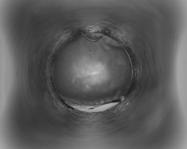 X0000086751393200704271701