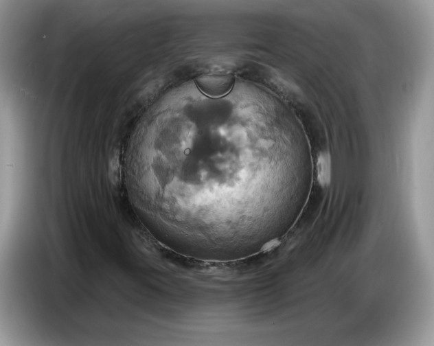 X0000086751395200704271701