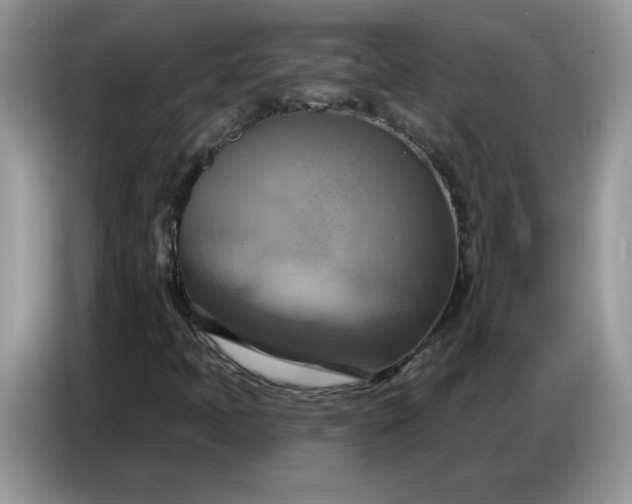 X0000086751397200704271701