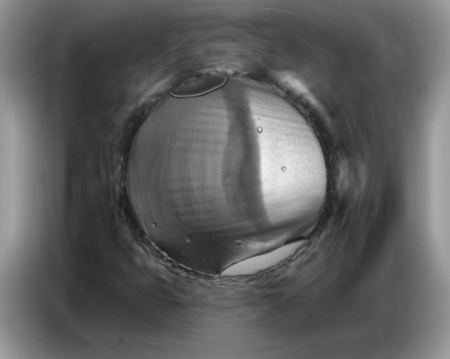 X0000086751399200704271701