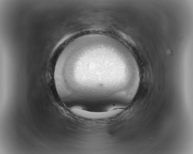 X0000086751400200704271701