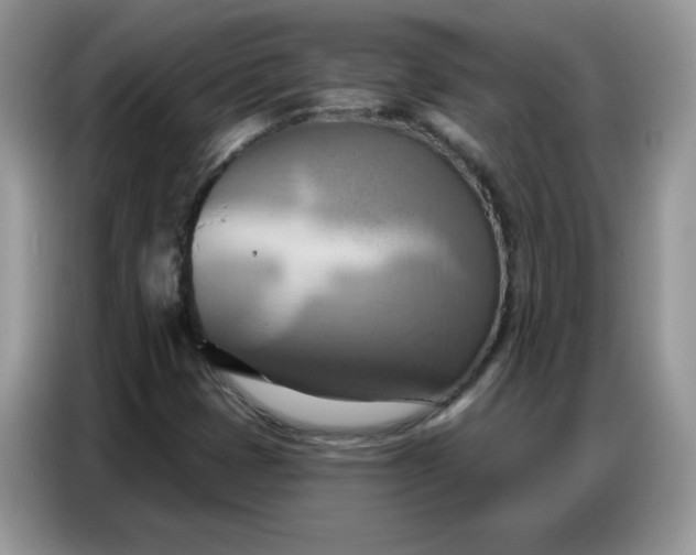 X0000086751401200704271701