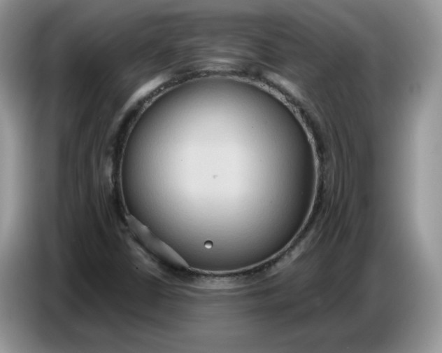 X0000086751402200704271701