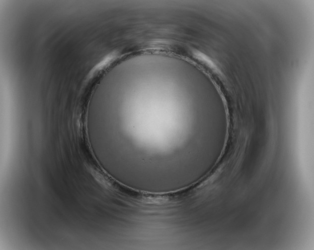 X0000086751403200704271701