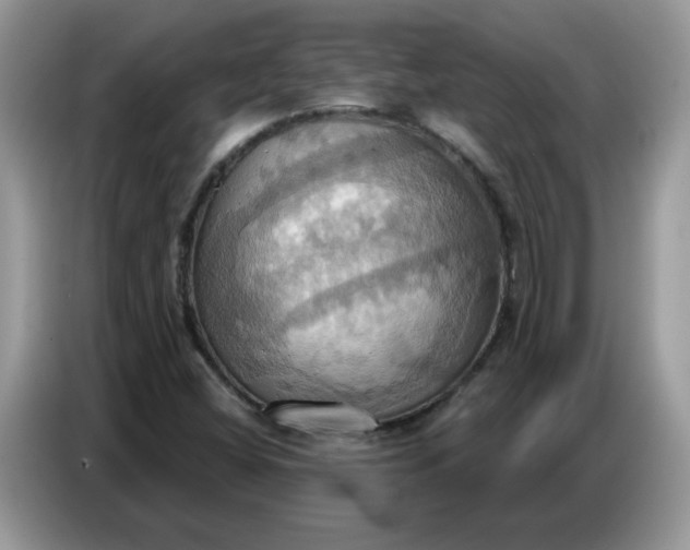 X0000086751404200704271701