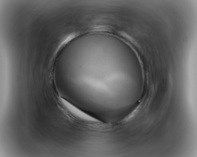 X0000086751405200704271701