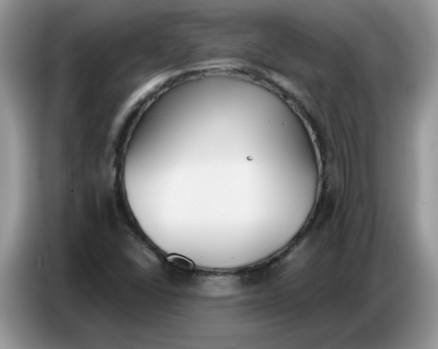 X0000086751406200704271701