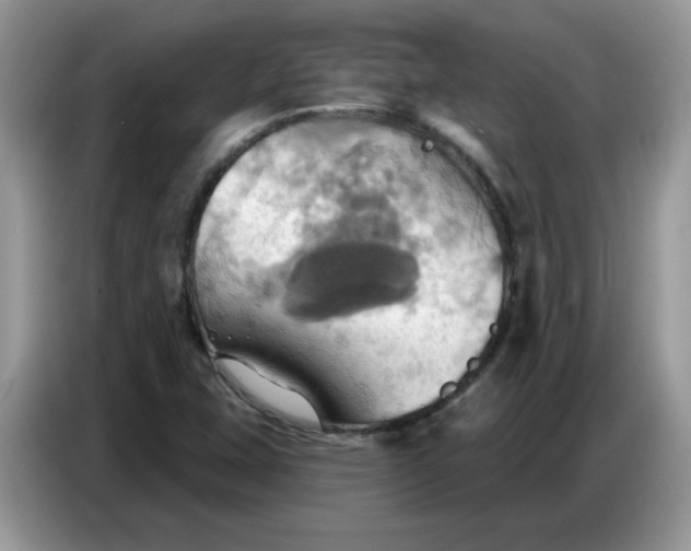 X0000086751407200704271701