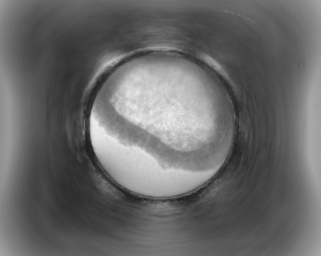 X0000086751408200704271701