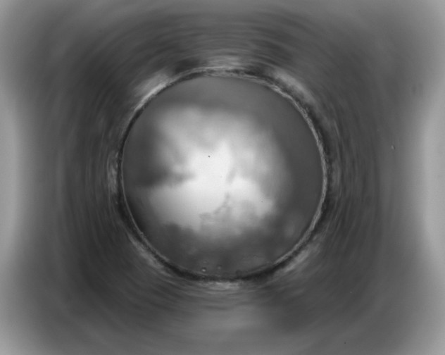 X0000086751409200704271701