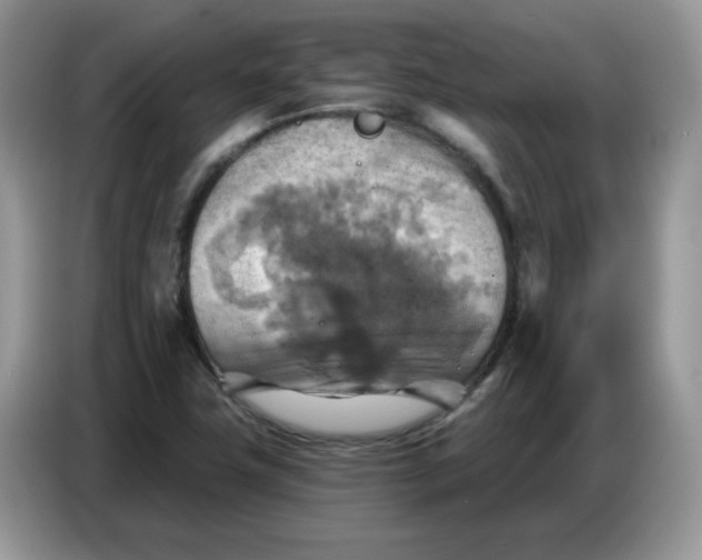 X0000086751411200704271701