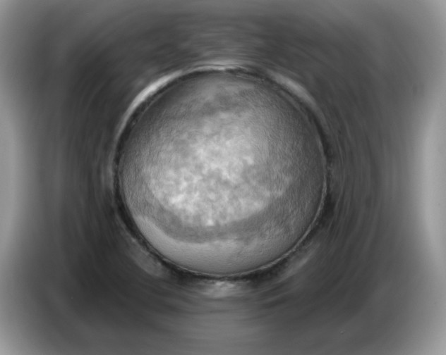 X0000086751412200704271701