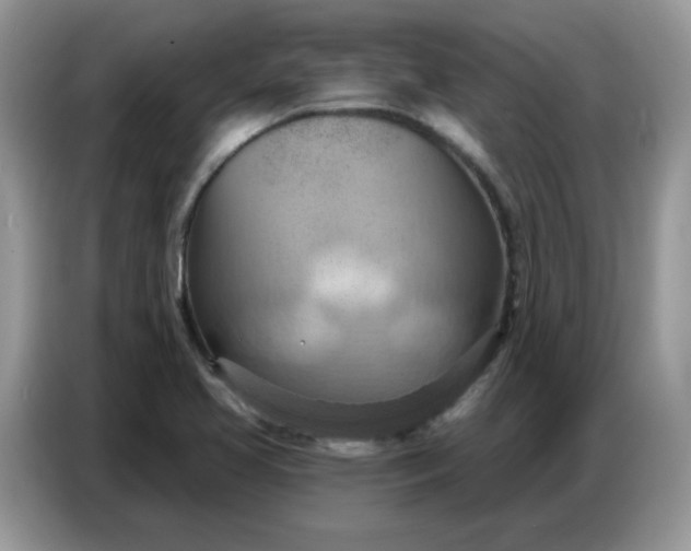 X0000086751413200704271701