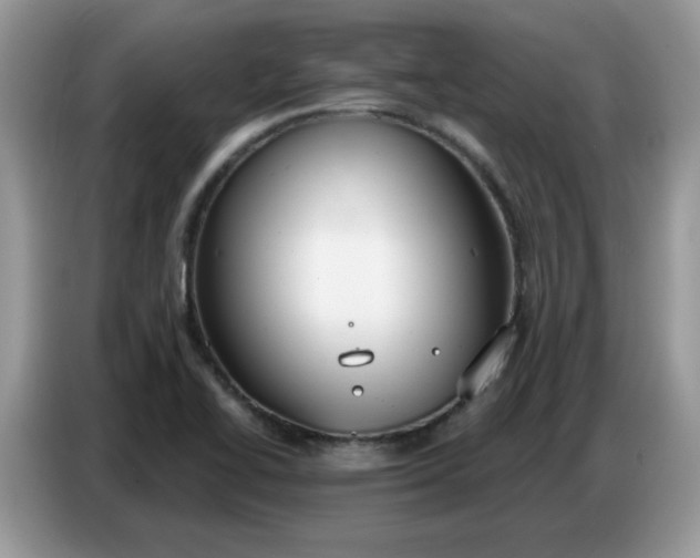 X0000086751414200704271701