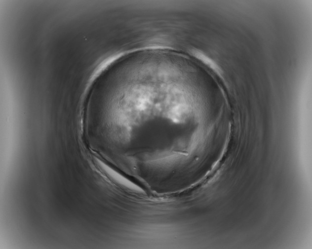 X0000086751415200704271701