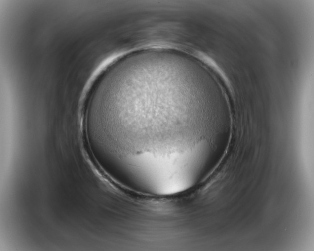 X0000086751416200704271701