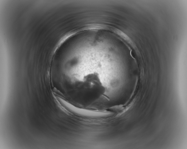 X0000086751417200704271701