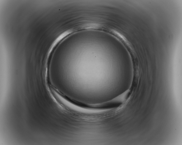 X0000086751418200704271701