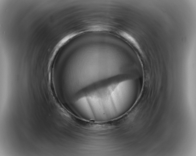 X0000086751419200704271701