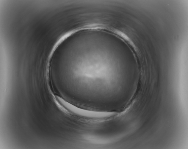 X0000086751421200704271701