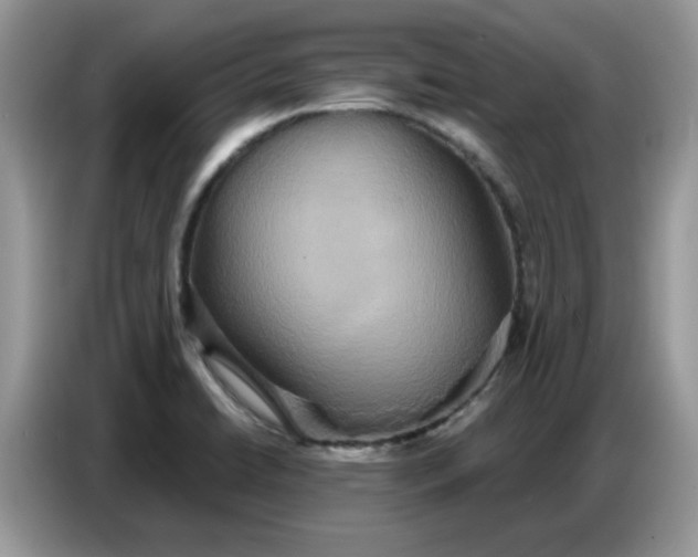 X0000086751422200704271701