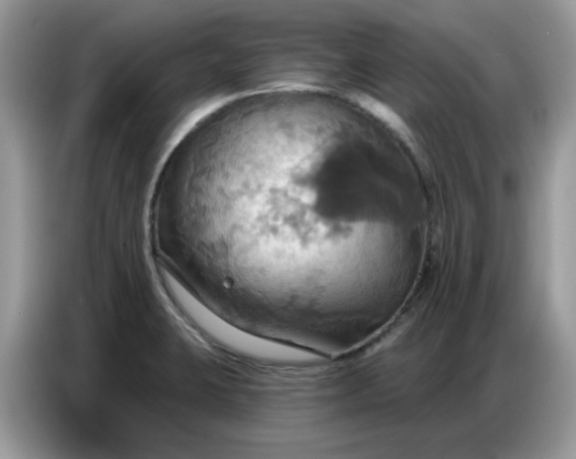 X0000086751423200704271701