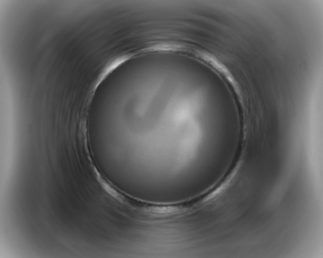 X0000086751425200704271701