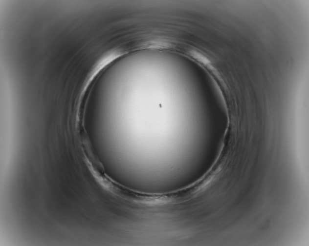 X0000086751426200704271701