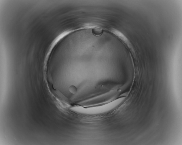 X0000086751427200704271701