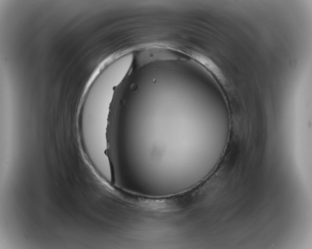 X0000086751428200704271701