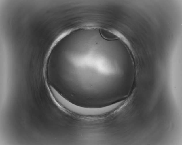 X0000086751429200704271701