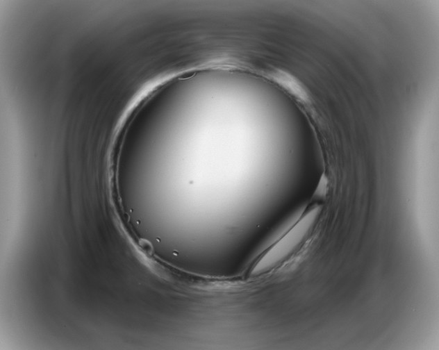 X0000086751430200704271701