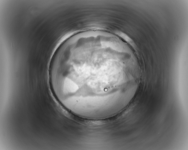 X0000086751431200704271701