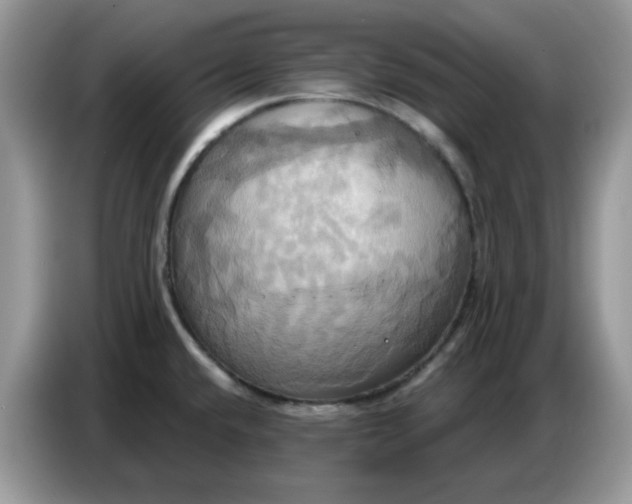 X0000086751432200704271701