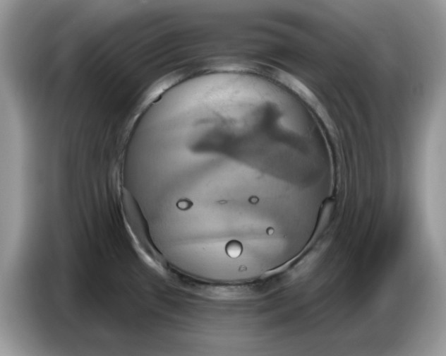 X0000086751433200704271701