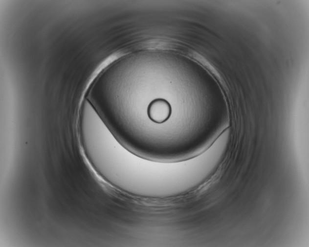 X0000086751434200704271701