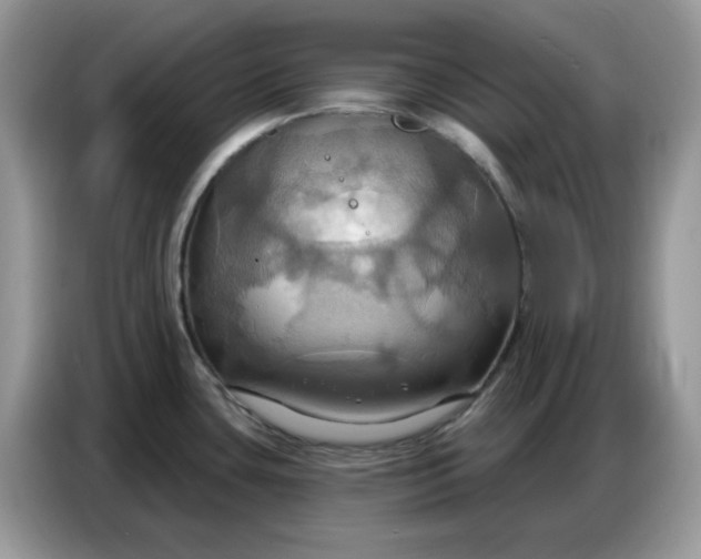 X0000086751435200704271701