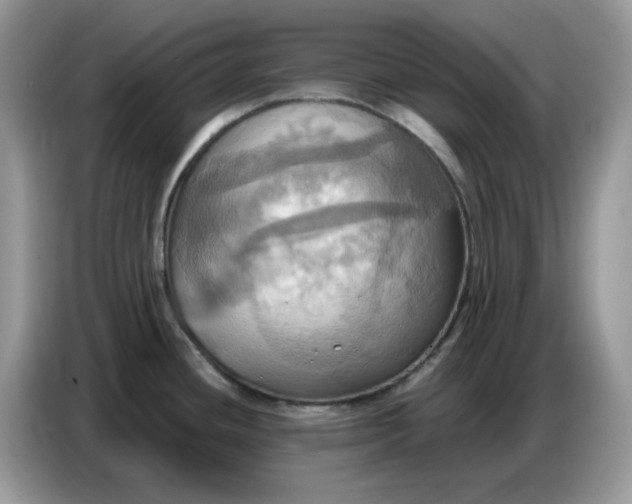 X0000086751436200704271701