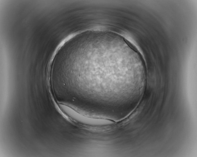 X0000086751437200704271701