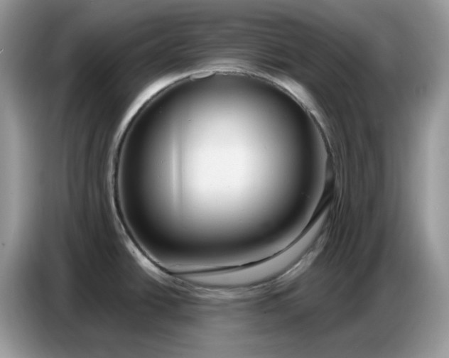 X0000086751438200704271701