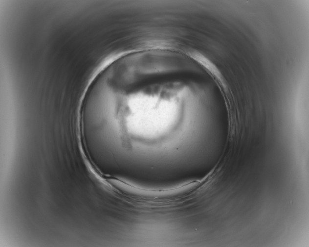 X0000086751439200704271701