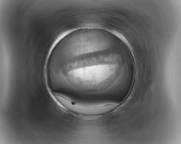 X0000086751440200704271701