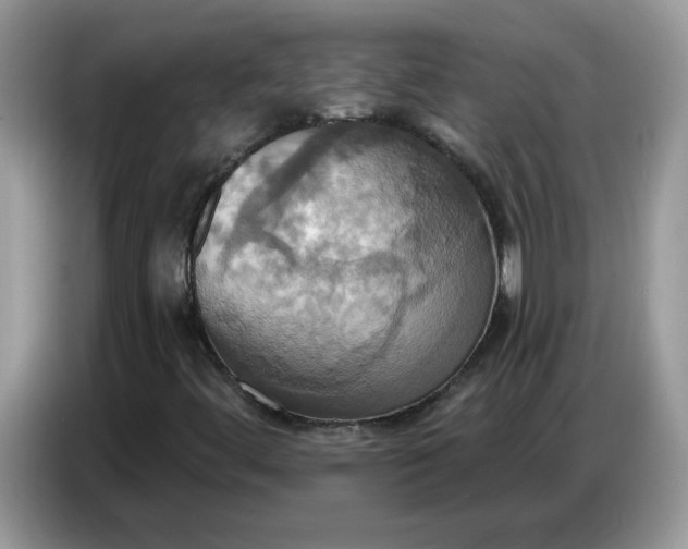 X0000086751444200704271701