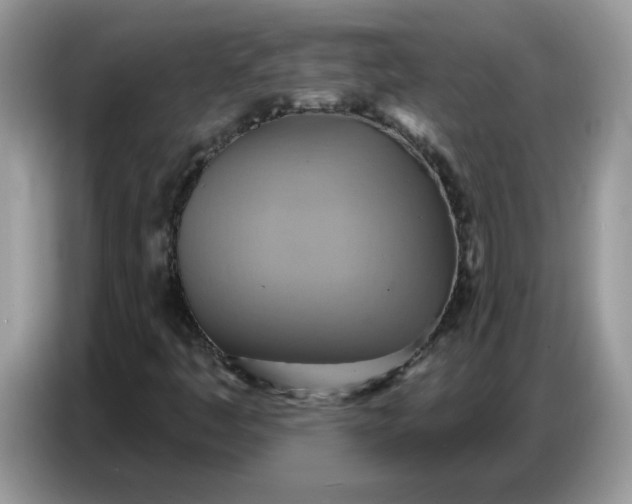 X0000086751445200704271701