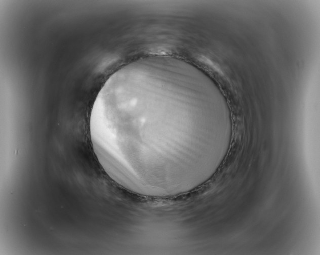 X0000086751446200704271701