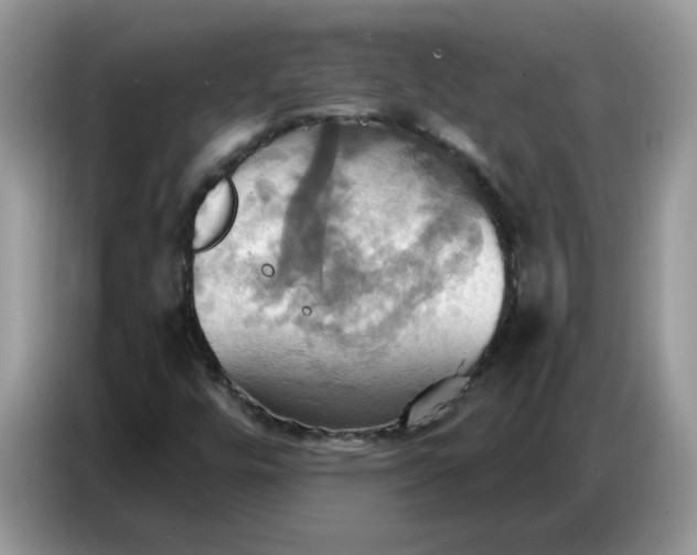 X0000086751448200704271701