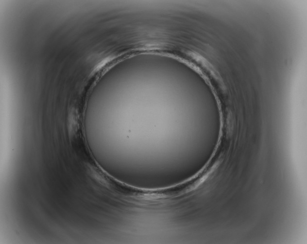 X0000086751449200704271701